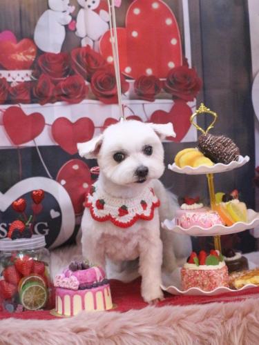 20250226うららちゃん